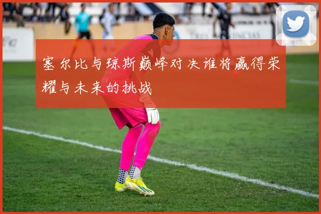 塞尔比与琼斯巅峰对决谁将赢得荣耀与未来的挑战