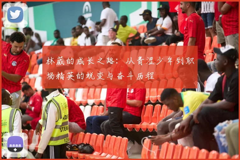 林葳的成长之路：从青涩少年到职场精英的蜕变与奋斗历程