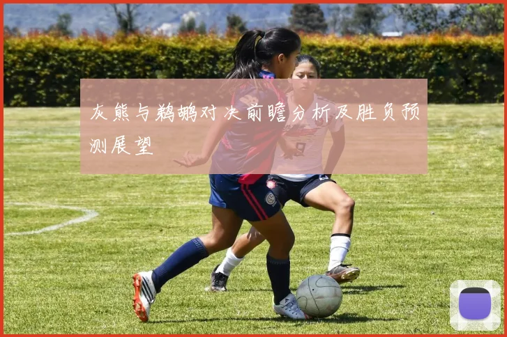 灰熊与鹈鹕对决前瞻分析及胜负预测展望