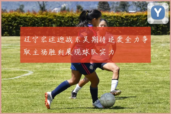 辽宁宏运迎战东吴期待逆袭全力争取主场胜利展现球队实力