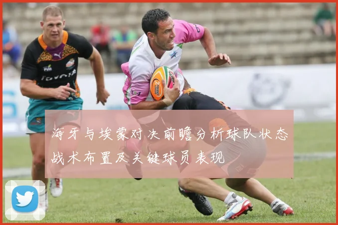 海牙与埃蒙对决前瞻分析球队状态战术布置及关键球员表现